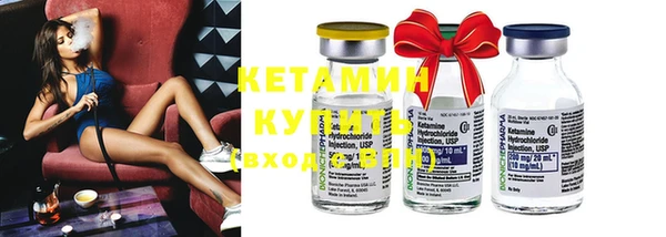 стаф Богданович