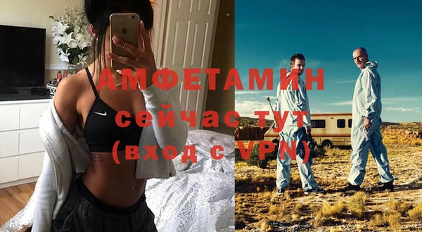 стаф Богданович