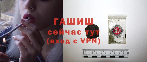 стаф Богданович