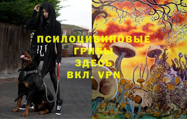 скорость Богородицк
