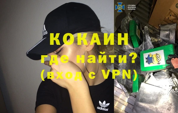 стаф Богданович