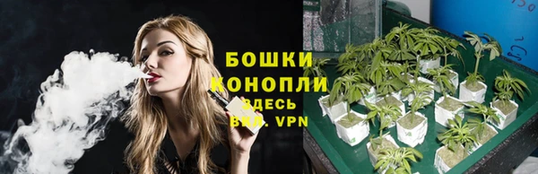 стаф Богданович