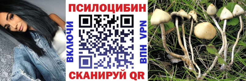Галлюциногенные грибы MAGIC MUSHROOMS Астрахань