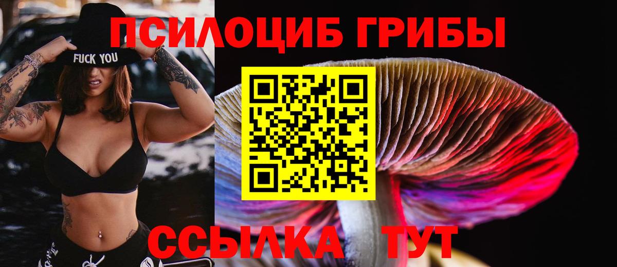 Галлюциногенные грибы Psilocybe  Вход с VPN  Астрахань  Псилоцибиновые грибы ЛСД 